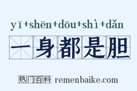 一身都是胆是什么意思的图片